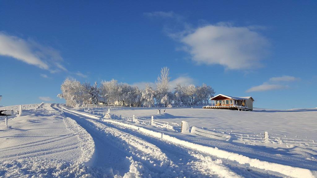 Eyvindartunga Farm Cottage Laugarvatn Exterior photo