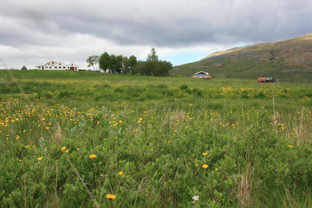 Eyvindartunga Farm Cottage Laugarvatn Exterior photo